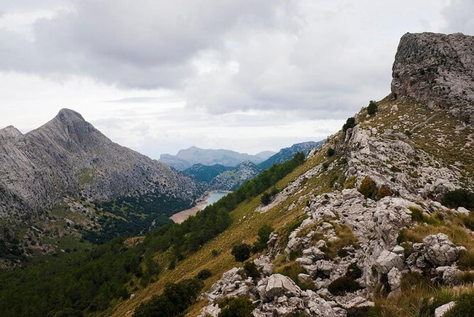 Small-Group Cliff Jumping Experience in Mallorca - Who will enjoy this most