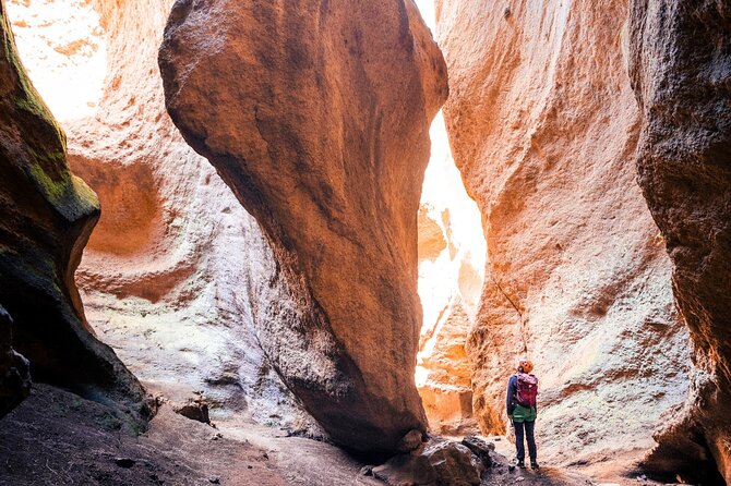 Small-Group Half-Day Canyoning in La Orotava - Key points to know before booking