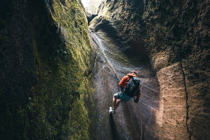 Small-Group Half-Day Canyoning in La Orotava - What the guide adds to the day