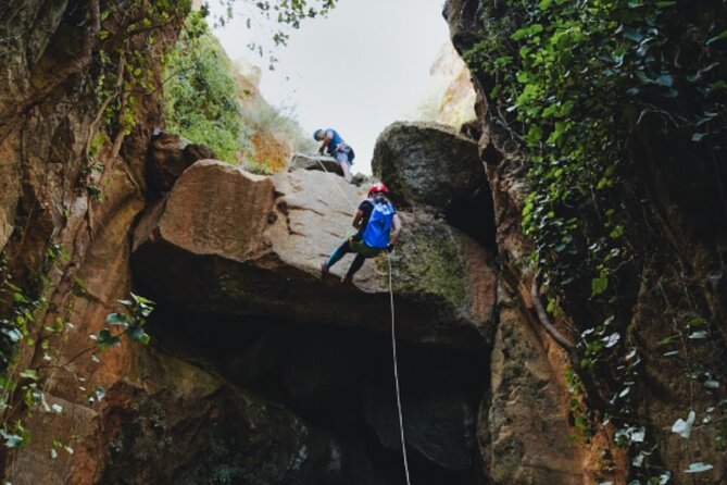 Small-Group Half-Day Canyoning in La Orotava - The 20-minute forest exit