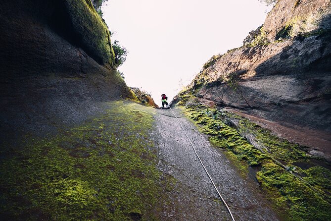 Small-Group Half-Day Canyoning in La Orotava - The 45-minute walk through Canary pine forest