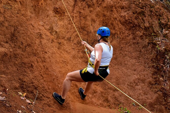 Small Group Waterfall Rappel in Lihue, Kauai - Who should book this Kauai adventure