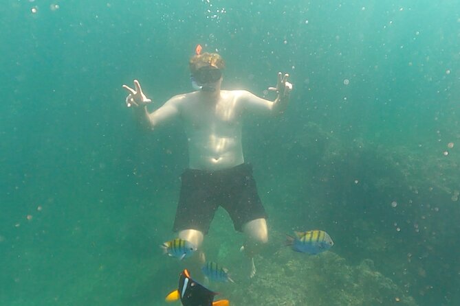 Snorkeling at Los Arcos 5 islands Hidden Beach and Cliff Jumping - What the $44 price really covers