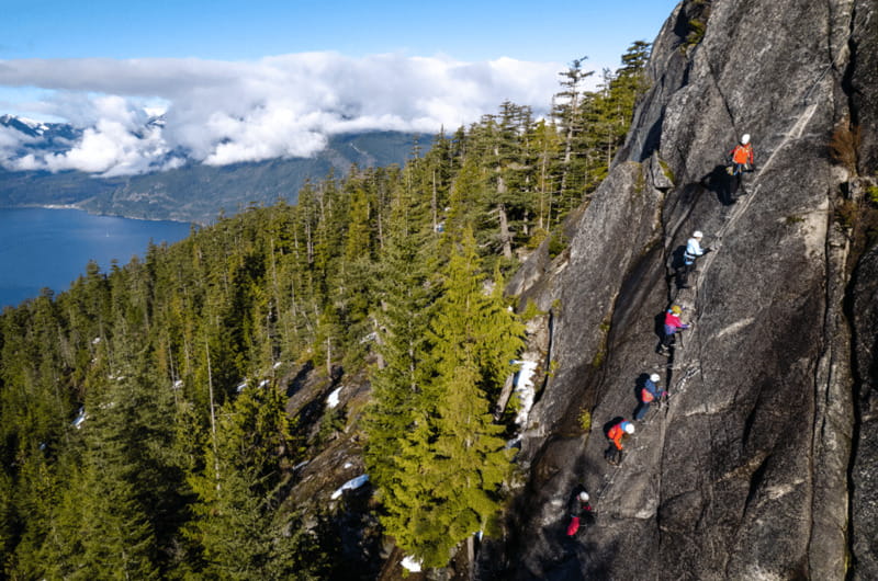 Squamish: Via Ferrata Climbing Adventure - Starting through old-growth forest