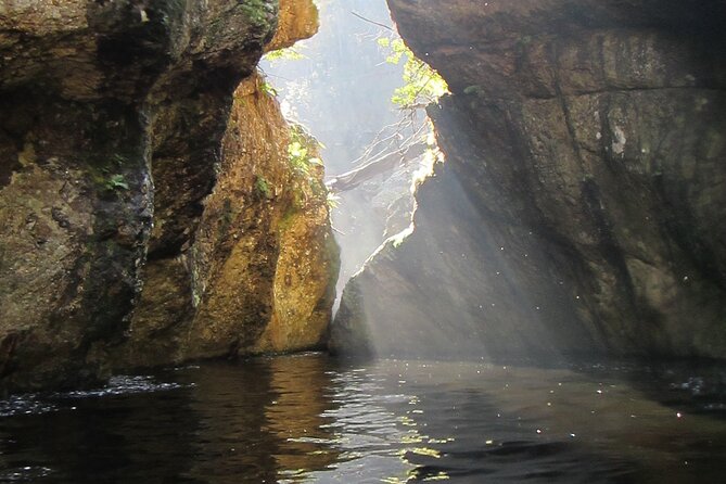 Standard Canyoning Trip in The Crags, South Africa - Swim or hike through the river sections