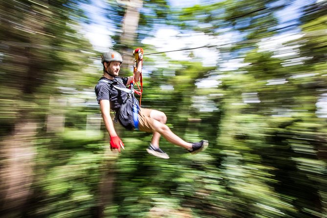 Sunshine Coast Adventure Park TreeTop Challenge - The Big Pineapple starting point