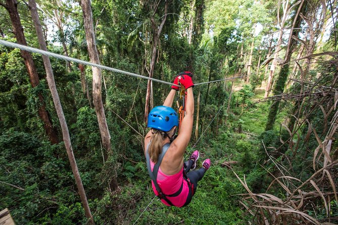 Sunshine Coast Adventure Park TreeTop Challenge - The middle courses bring the height