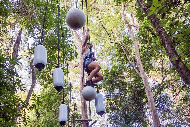 Sunshine Coast Adventure Park TreeTop Challenge - The hardest circuits and black-diamond tests