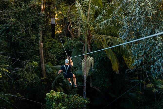 Sunshine Coast Adventure Park TreeTop Challenge - Twelve ziplines above the rainforest