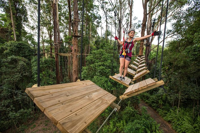 Sunshine Coast Adventure Park TreeTop Challenge - Safety, supervision, and the pace of the day