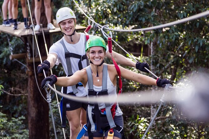 Sunshine Coast Adventure Park TreeTop Challenge - Starting low and building confidence