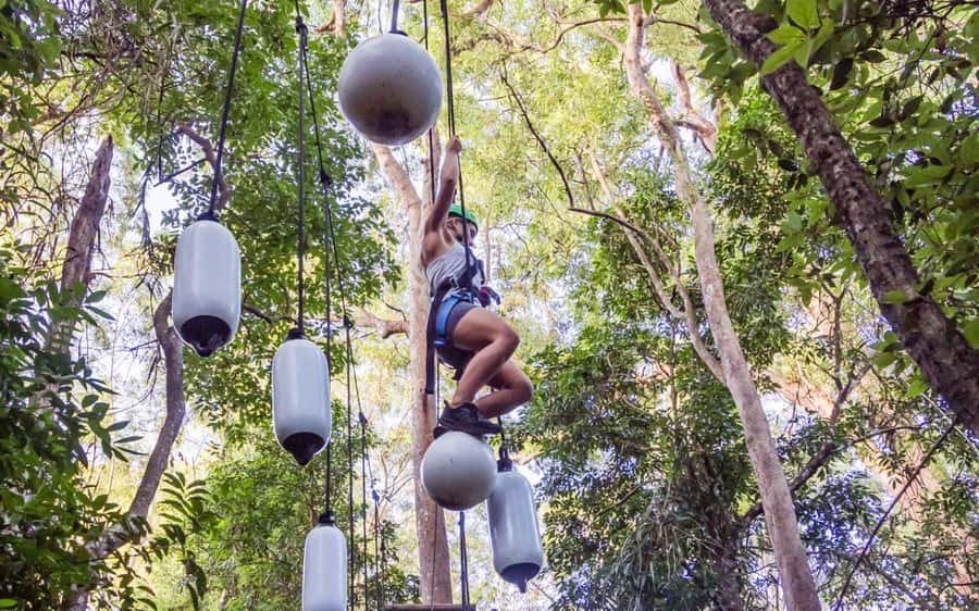 Sunshine Coast: Treetop Challenge Adventure Park - Six courses from gentle starts to black diamond heights