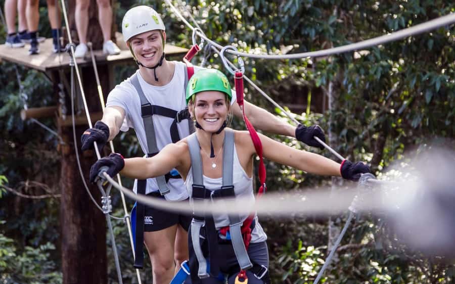 Sunshine Coast: Treetop Challenge Adventure Park - The two black circuits are for committed climbers