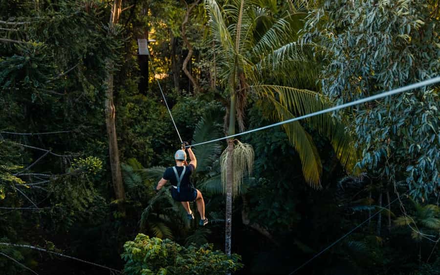 Sunshine Coast: Treetop Challenge Adventure Park - Fitness, height, and health limits