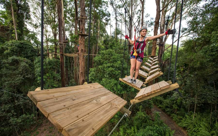 Sunshine Coast: Treetop Challenge Adventure Park - The third course brings the real adrenaline
