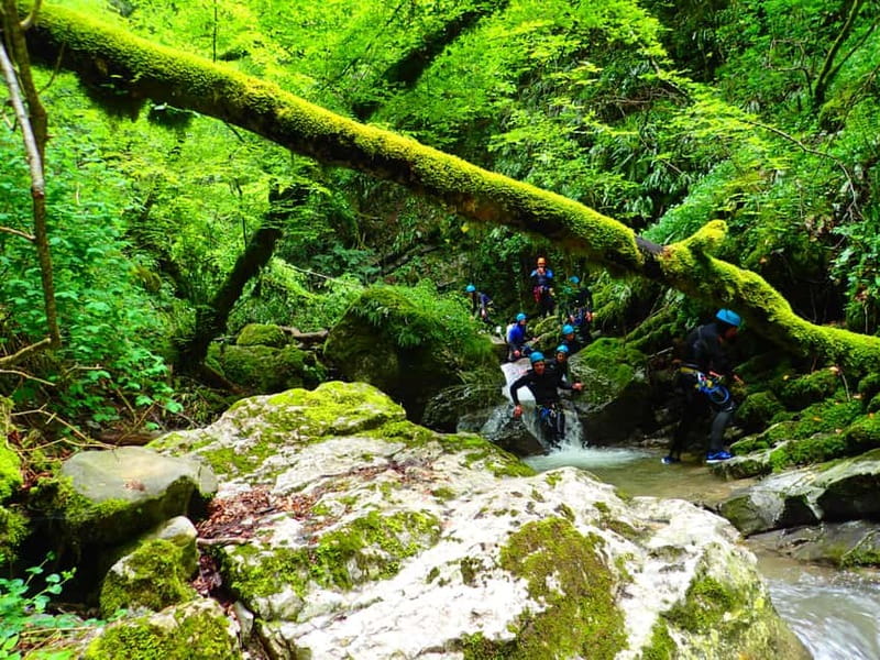 Talloires: Guided Canyoning Experience in Angon Canyon - Lake Annecy views add something special