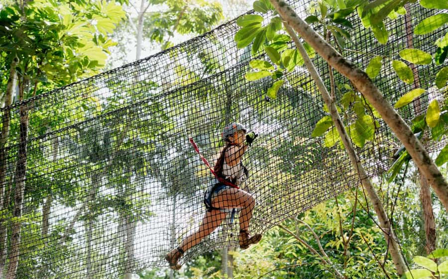 Tamborine Mountain: TreeTop Challenge Adrenaline Pass - Key points to know before you book