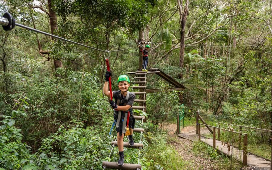 Tamborine Mountain: TreeTop Challenge Adrenaline Pass - Two big adventures in one Tamborine Mountain day