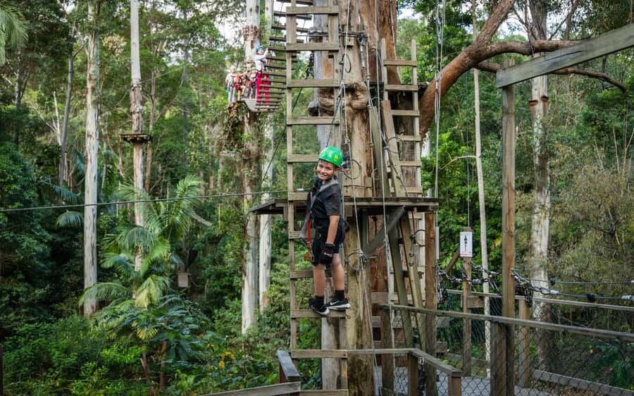 Tamborine Mountain: TreeTop Challenge Adrenaline Pass - Moving from fast rides to slow, awkward obstacles