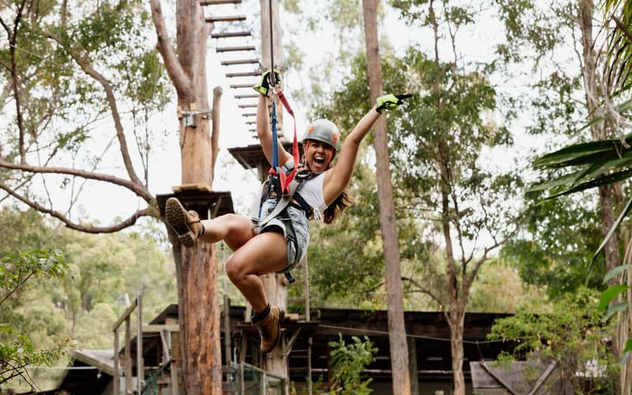 Tamborine Mountain: TreeTop Challenge Adrenaline Pass - What the seven-hour schedule feels like