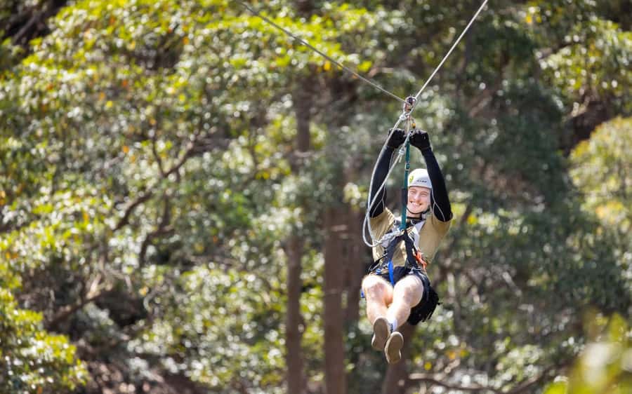 Tamborine Mountain: TreeTop Challenge Adrenaline Pass - Should you book the Adrenaline Pass?