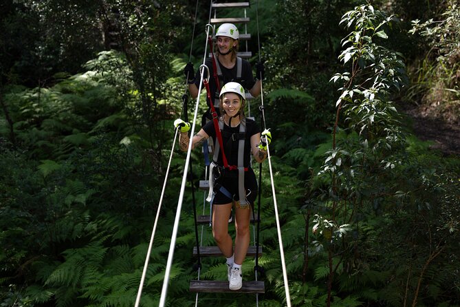 Tamborine Mountain TreeTop Challenge Adventure Park - Key points to know before you book
