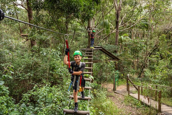 Tamborine Mountain TreeTop Challenge Adventure Park - Starting at Tamborine Mountain and Thunderbird Park