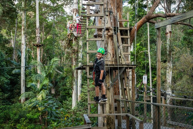 Tamborine Mountain TreeTop Challenge Adventure Park - The ziplines are part of the payoff