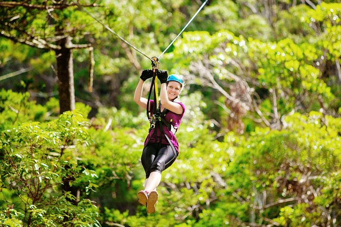 Tamborine Mountain TreeTop Challenge Adventure Park - How long you need and how to use the time