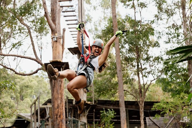 Tamborine Mountain: TreeTop Challenge Adventure Park - Red courses bring bigger ziplines and sharper nerves