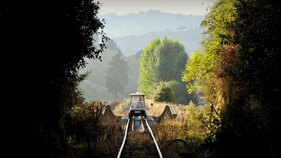 Taumarunui: Railcart and Jetboat Adventure with lunch - Key points to know before you book