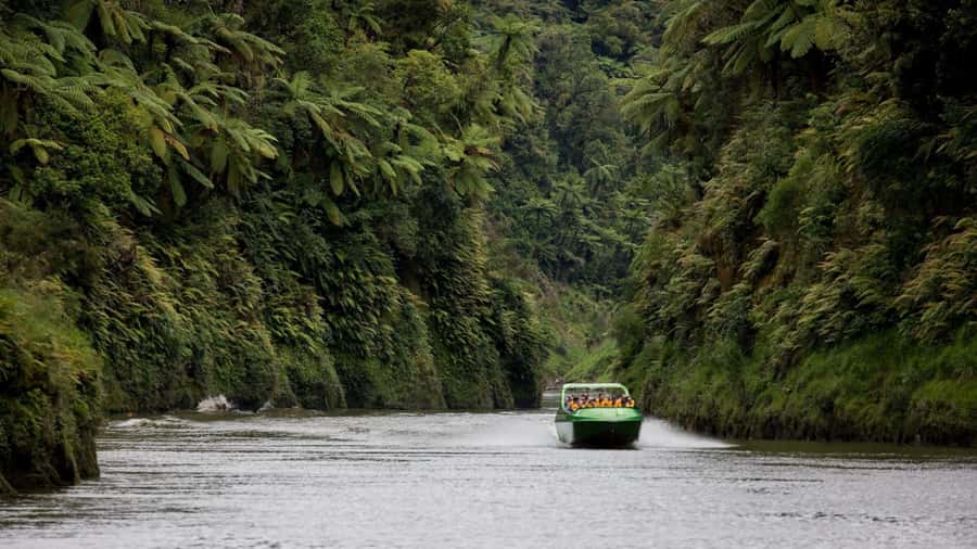 Taumarunui: Railcart and Jetboat Adventure with lunch - Why this Forgotten World day works so well