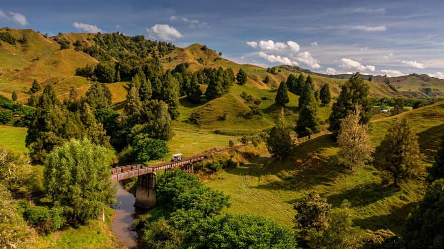 Taumarunui: Railcart and Jetboat Adventure with lunch - Riding the old line from Okahukura