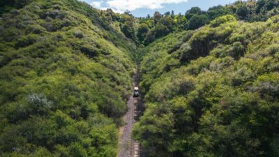 Railcart and Jetboat Adventure with lunch