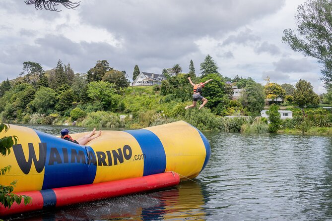 Tauranga: Waimarino Adventure Park - The main attractions, from easy-going to daring