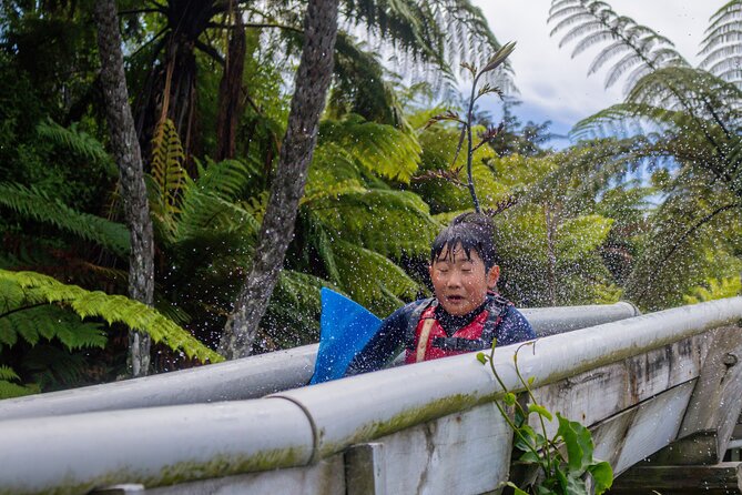Tauranga: Waimarino Adventure Park - Planning your three-hour visit