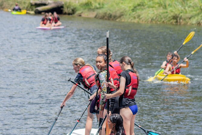 Tauranga: Waimarino Adventure Park - Is $36.61 good value?