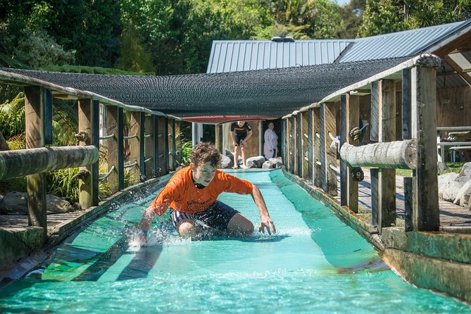 Tauranga: Waimarino Adventure Park - What the Supreme Pass gives you