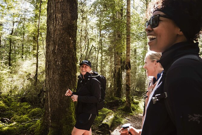 Te Anau Jetboat Experience, Kepler Guided Hike, Transport & Lunch - A jet boat and a forest walk in one Fiordland day