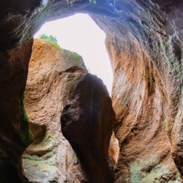 Tenerife: Guided Canyoning Experience in Los Arcos - Rappelling Volcanic Ash Walls Up to 20 Meters