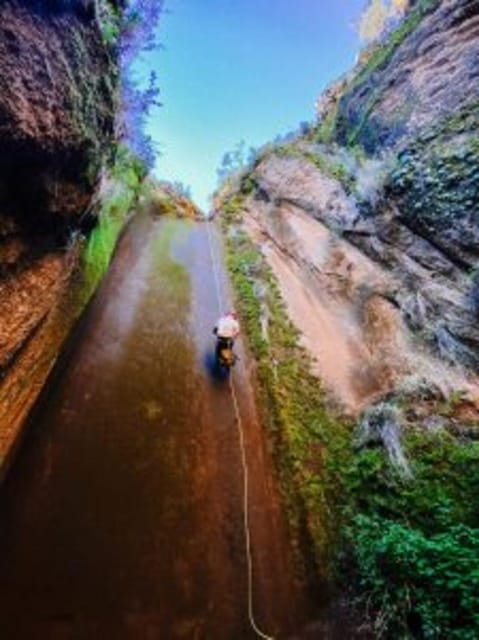 Tenerife: Guided Canyoning Experience in Los Arcos - What the Guide Adds to the Experience