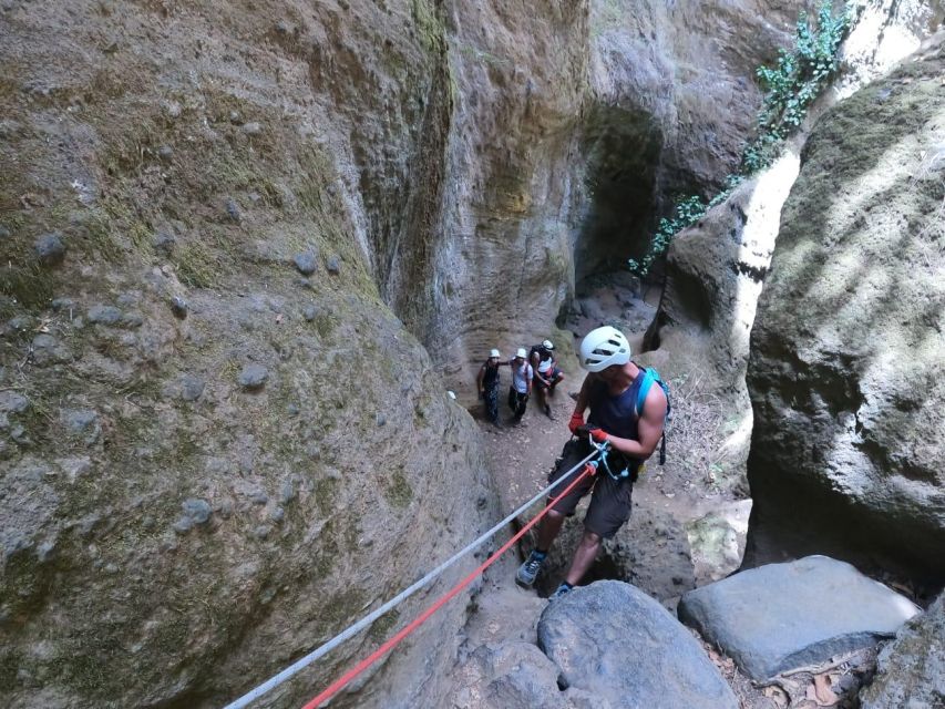 Tenerife: Guided Canyoning Experience in Los Arcos - Is $82 Good Value?