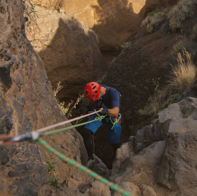 Tenerife: Los Arcos Canyoning Tour with Guide - Why Los Arcos feels different from a standard Tenerife outing