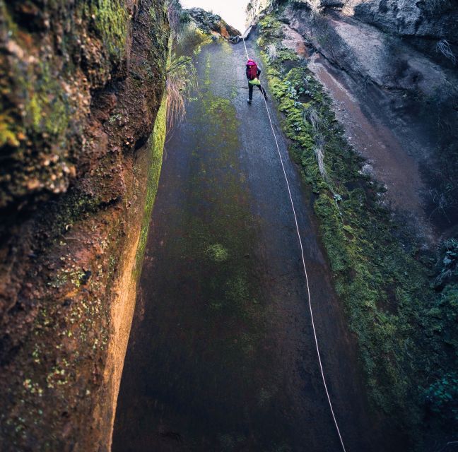 Tenerife: Los Arcos Canyoning Tour with Guide - What the $82 price includes