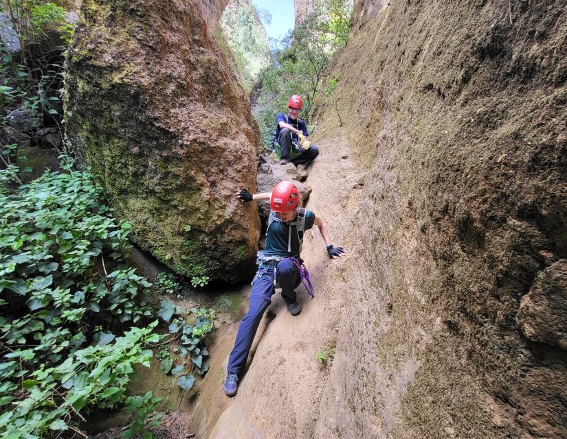 Tenerife: Los Arcos Canyoning Tour with Guide - Who should book this canyoning tour?