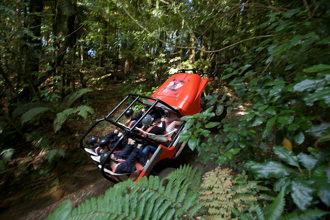 The Adrenaline Overdose at Off Road NZ - The Monster 4X4 ride through native forest