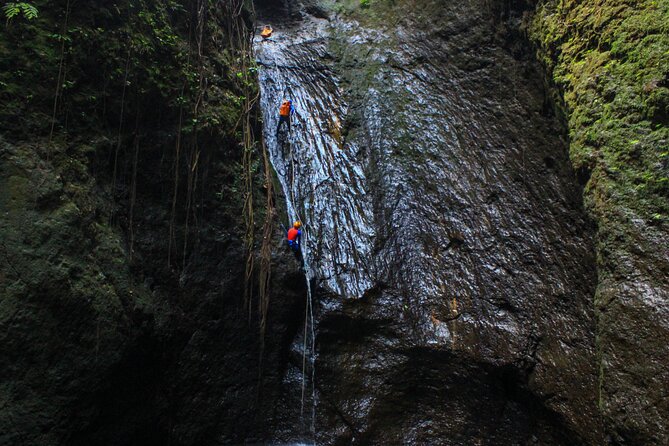 The Hidden Gorgeous Canyoning | Aling Canyon - Why Aling Canyon feels different from ordinary Bali day trips