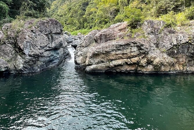 Toro Negro River Hike & Cliff Jumping Adventure; San Juan Pick Up - Is $165 a fair price?