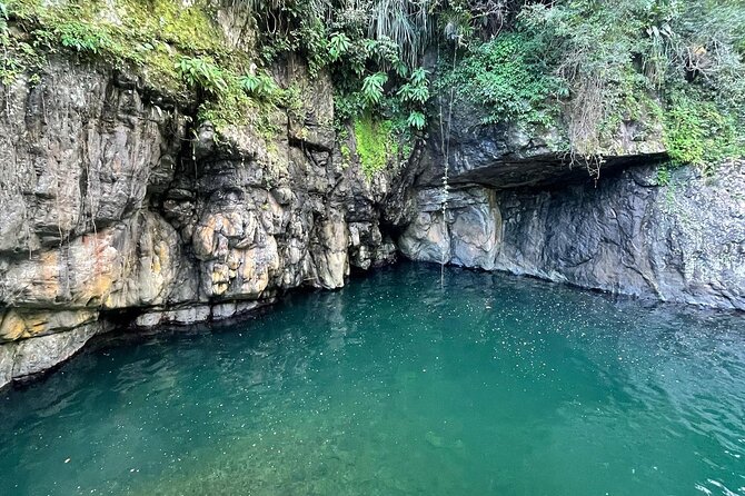 Toro Negro River Hike & Cliff Jumping Adventure; San Juan Pick Up - Hiking through the rainforest and along the river