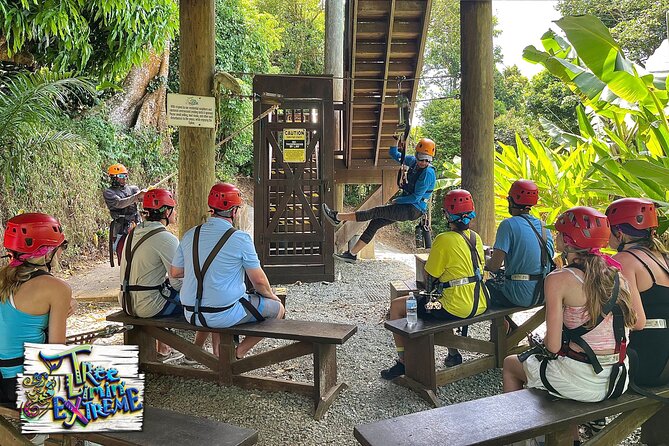 Tree Limin' Extreme Zipline - The views are worth considering in the price